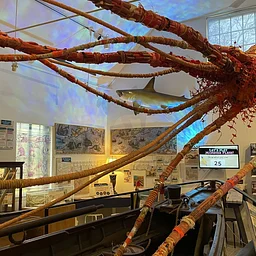 The Whaling Museum presents Robert & Roberta Appreciation Month