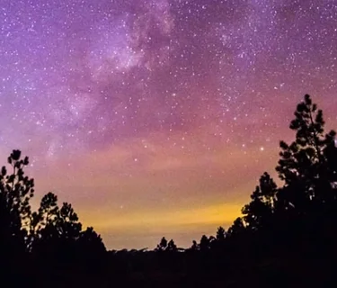 Yoga Under The Stars – Spring Series 2, Week 4