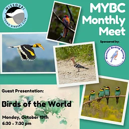 Missouri Young Birders Club Monthly Meeting (Copy)