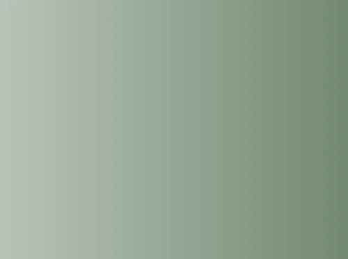 Paint and Pot – Succulents