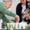 Family Day – Feed & Observe the Birds