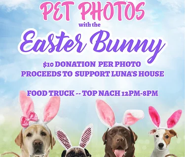 Pet Photos with Easter Bunny