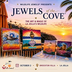 Jewels Of The Cove The Art Magic Of La Jollas Wildlife