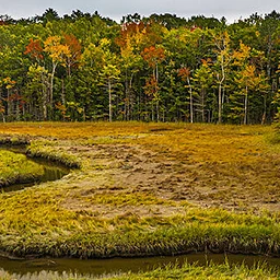Trail Tuesday: Hike Zak Preserve