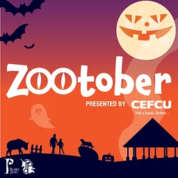 Zootober
