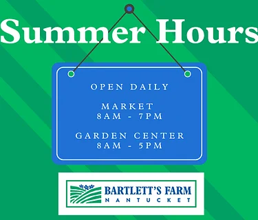 Summer Hours Start