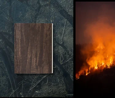 ‘Asunder’ and the California Wildfires