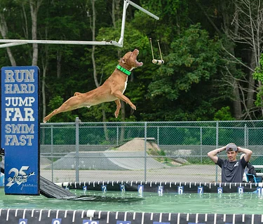 10th Annual North Fork Dock Diving Weekend in Greenport