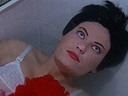 VCR Vortex - VHS Night - Blood and Black Lace (1964) / The Cat O’ Nine Tails (1971)