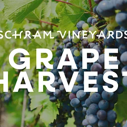 CANCELLED-Grape Harvest 2026