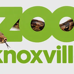 Zoo Knoxville Reptile Encounter