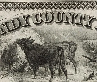 Last & First: Mid-1800s Currency Issued by a Grundy County Bank in Morris, Illinois