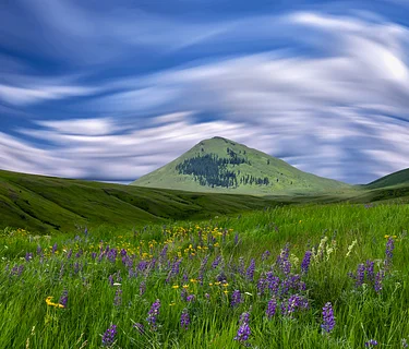 Call to Artists: Wild Landscape – Zumwalt Revisited