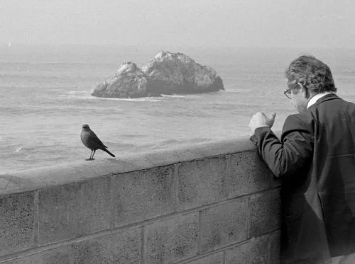 Black and White Darkroom