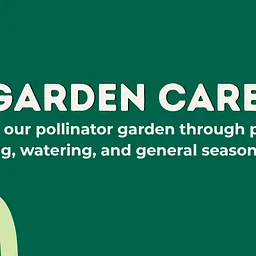 Garden Care: Marie’s Garden