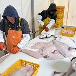 Seafood HACCP Segment 2 — October 2026