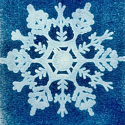 Cyanotype Holiday Card Workshop