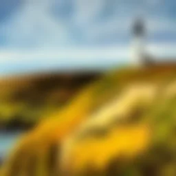 Art Walk - Featured: Joanne Thorpe