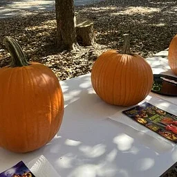 Fall Fun Makers