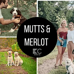 Mutts & Merlot {dog day}