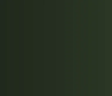 Flag Day Celebration