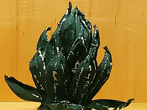 Paper Lotus Lantern Workshop