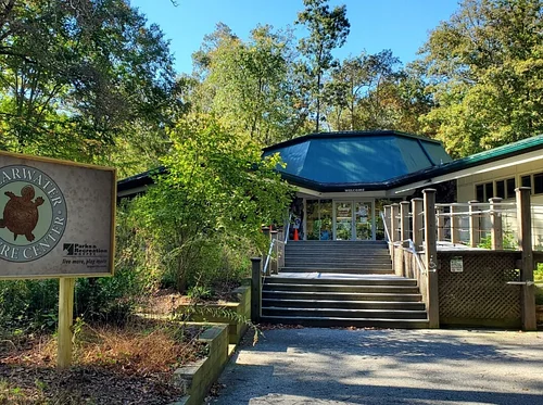 Nature Crafts -Mother's Day Craft