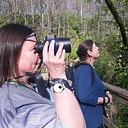 July Summer Birding
