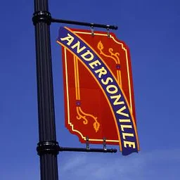 Taste of Andersonville