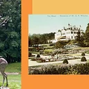 In the Footsteps of Edith