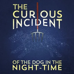 The Curious Incident of the Dog in the Night-Time