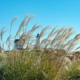 York Harvestfest, Short Sands Beach, York, ME