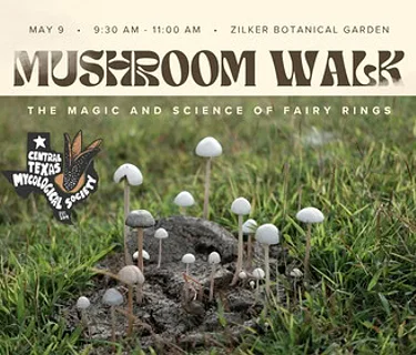 Mushroom Walk: The Magic & Science of Fairy Rings