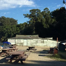 San Francisco Bay Area Chapter – Paint/Sculpt-Out at China Camp State Park