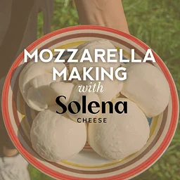 Mozzarella Making with Solena Cheese