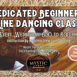 Dedicated Beginner Line Dance Class