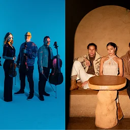 Vitamin String Quartet & Girl Named Tom