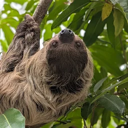 The Secret Life of Zoo Habitats: Where Animals, Plants and People Intersect