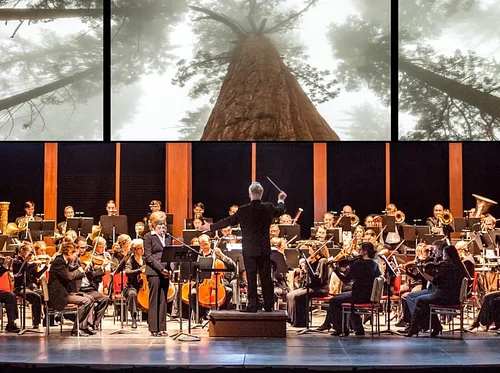 Berks In Focus: Symphony Of A Thousand Images