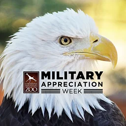 Military Appreciation Week