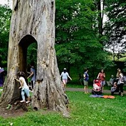 Storytime at Highland Park with the Central Library Children’s Center!