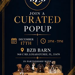 BZB Barn Pop Up