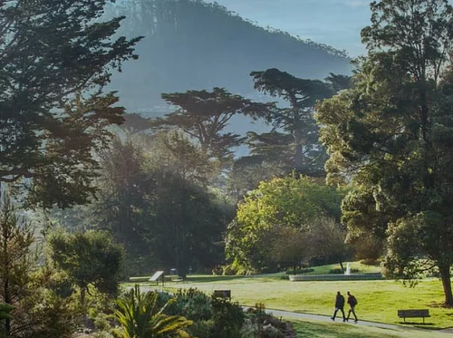 Free Day: San Francisco Botanical Garden