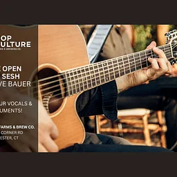 Open mic/jam Session with Steve Bauer