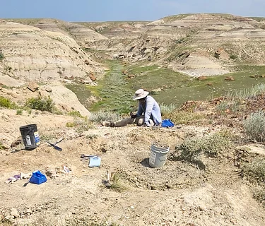 Digging Expedition