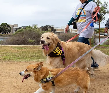 Walk for Animals – San Diego