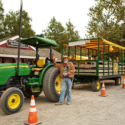 Irvine Park Railroad Pumpkin Patch