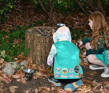 Scout Program: Insect Exploration