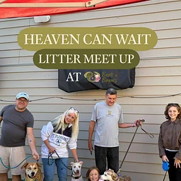 Litter Meet Up with Heaven Can Wait
