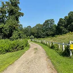 Wilderness Walk